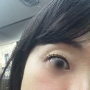 마곡 속눈썹 연장 더채움 후기 / LED연장 후기