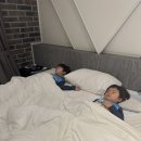 쿨쿨무인텔 이미지