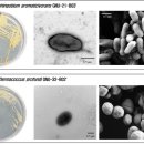 미생물연구관 이미지