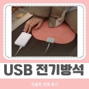 핑크드림작은도서관 | 47% 할인 중! 아이리버 전기방석 휴대용 원적외선 엉뜨 USB 온열 1인용