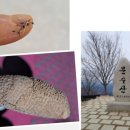 삼정미장원