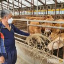 덕현1목장 이미지