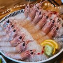 월령작야 | [제주]한림 이자카야 월령작야 숙성회 내돈내산 솔직후기|제주한림 딱새우회,고등어회 맛집추천