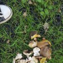 힐리빙하우스 이미지