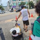 인천나비공원 | 🦋 인천 부평 나비생태공원 &amp; 숨은 여름 핫플, 물놀이터 후기