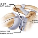 온스바디 이미지
