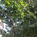 (주)큰나무 이미지