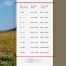 올리통상 이미지