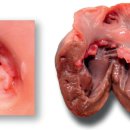 전동물병원 이미지