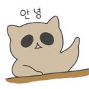 예가안경 이미지