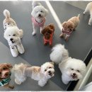 기쁜 유치원 이미지