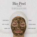 필바이오 이미지