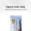 뚠뚠이몰