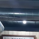 반갑다돼지야