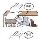 망 북 이미지