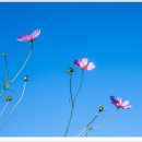 부영공원 이미지