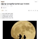 8월 31일 슈퍼 블루문 놓치면 안되는 이유.JPG 이미지