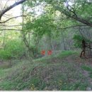 양북초 송전분교 이미지