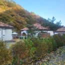 명월길500 이미지