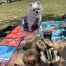 파더스베이글(대구월성점) 이미지