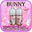 핑크버니 이미지