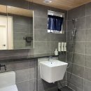 스테이오로지 이미지