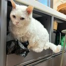 (주)네오트리게임즈 | 12월. 행복은 가까이에 있다.