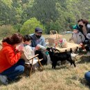 태백어린이집 놀이시설 이미지