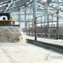 한우사육사 이미지