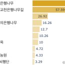 은행나무 명소 - 충남/대전 TOP 10 | 데이터로 읽는 풍경여행