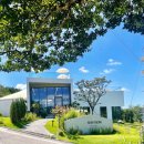 싱그러운청도로(여름) 이미지