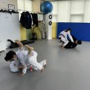 삼송주짓수 네이버블로그