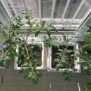 함지세탁소 이미지