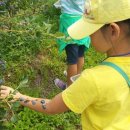 서여주세종영농조합법인 이미지