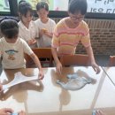 양평 숲속의 미술공원C아트뮤지엄 네이버블로그