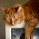 다나한방병원 이미지