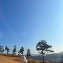 진산한우
