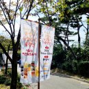 세주묘엄박물관 | 수원 가볼만한곳: 2024 봉녕사 사찰음식 대향연, 수원가을축제