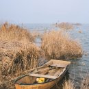 강변에서 이미지