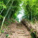 송하펜션 이미지