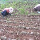 솔골농장 이미지