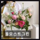 서구-02-95 | [대전 꽃집] 올모스트그린 예약 필수, 신선함과 감각 돋보여