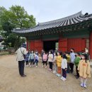 심곡초 이미지