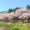 30대 중후반 세무사사무실 한 달 차｜전표입력·원천세·거래처 배정 신입 현실 후기