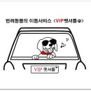 VIP 애견 이미지
