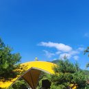 영천보현산별빛테마마을 본관동 | [경북 영천] 보현산 별빛테마마을 본관동 예약 가격 및 이용 후기