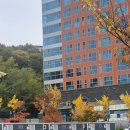 9DOG | 천안 반려견 축제행사 k-DOG FESTIVAL 후기