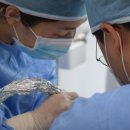 시흥양심치과의원 네이버블로그