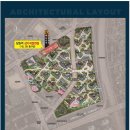 메이플(생활형) 이미지