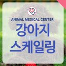 장현동물병원 네이버블로그